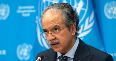 باكستان تدعو مجلس الأمن لاتخاذ خطوات لإنهاء العدوان الإسرائيلى على غزة افتخار أحمد