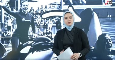 هجوم حوت الأوركا على مدربته.. حكاية فيديو تصدر مواقع التواصل "فيديو" الزميلة جيرمين شلبى مذيعة اليوم السابع