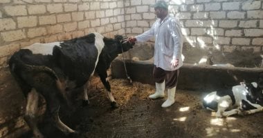 محافظ الإسماعيلية يتابع جهود "الطب البيطرى" لحماية وتنمية الثروة الحيوانية مواشى