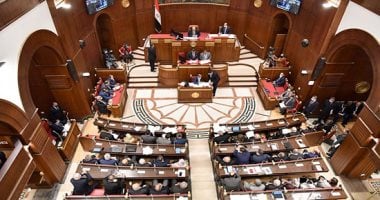 كيف يختار رئيس الجمهورية المعينين بمجلس الشيوخ؟ القانون يكشف التفاصيل مجلس الشيوخ - أرشيفية