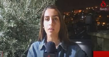 دانا أبو شمسية