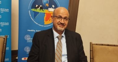 الصحة العالمية: مقاومة المضادات الحيوية تتسبب فى 1.23 مليون حالة وفاة سنويا ممثل منظمة الصحة العالمية فى مصر