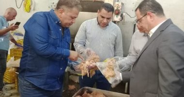 ضبط وإعدام 42 طن مصنعات لحوم فاسدة فى الجيزة ضبط مصنعات لحوم فاسدة فى الجيزة