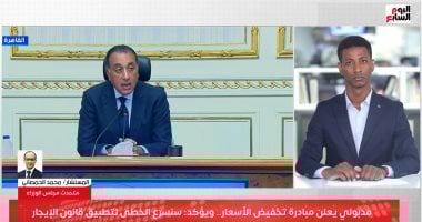 المستشار محمد الحمصانى المتحدث باسم مجلس الوزراء خلال المداخلة