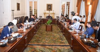 وزير الخارجية: نرفض بشكل قاطع توسيع العمليات العسكرية فى غزة جانب من اللقاء