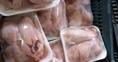 ضبط 3.4 طن سمان مجمد معبأ بشكائر دون بيانات صلاحية بكفر الشيخ