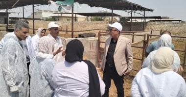 بدء حملة لتحصين شاملة السبت المقبل لحماية الماشية من الحمى القلاعية حملة قوافل بيطرية