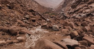 سيول بسانت كاترين