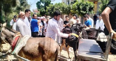 جامعة دمنهور تطلق قافلة خدمات تنموية شاملة بقرية حسن علام فى أبو المطامير القافلة البيطرية