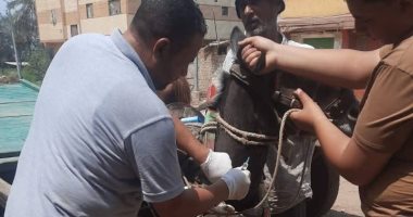 قافلة بيطرية مجانية بالنواصرية تقدم خدمات علاجية لـ 929 حالة بدمياط