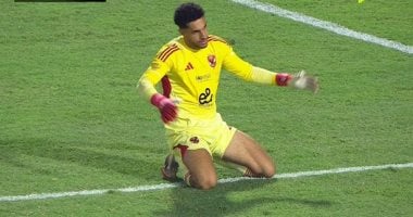 شوبير