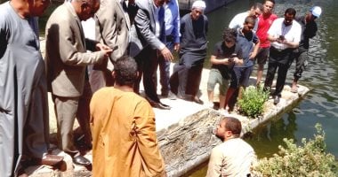 إلقاء حوالى 4 ملايين ذريعة أسماك بلطى ومبروكة في نهر النيل