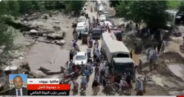 مداخلة الدكتور دوميط كامل رئيس حزب البيئة العالمي