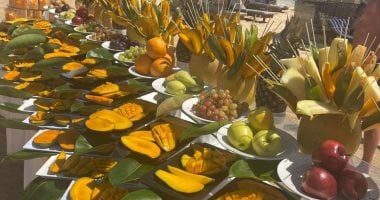 مهرجان المانجو