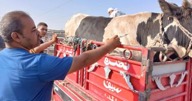 الطب البيطرى بالأقصر تبدأ فعاليات الحملة القومية ضد مرض الحمى القلاعية SAT1