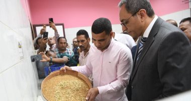 زيادة 14 ألف طن عن العام الماضى.. قنا تعلن انتهاء موسم توريد القمح 2025