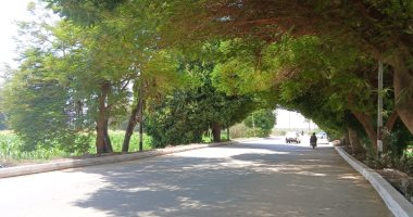 رغم انكسار الموجة.. أجواء شديدة الحرارة فى قنا والعظمى 43 درجة.. فيديو