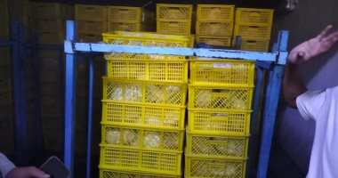 ضبط 16 طن مواد غذائية مجهولة المصدر ودواجن ومصنعاتها فى الشرقية