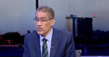 الكاتب الصحفي ضياء رشوان