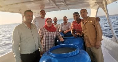 إطلاق الدفعة الرابعة من يرقات الجمبري في بحيرة قارون ضمن خطة تنميتها
