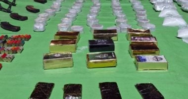 القبض على 8 عناصر إجرامية في المنوفية والقليوبية المضبوطات
