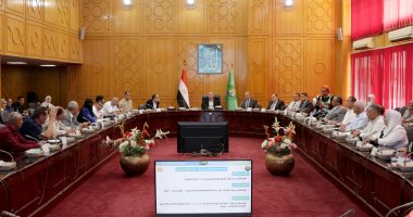 محافظ الإسماعيلية: نعمل على إيجاد إطار قانونى لعمل الـ"توك توك"