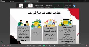 جانب من اللقاء الافتراضي