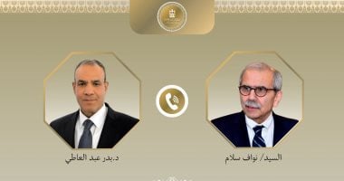 بدر عبد العاطى ورئيس الوزراء اللبنانى