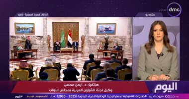 وكيل مجلس النواب: زيارة الرئيس السيسي للسعودية تعكس عمق العلاقات بين البلدين