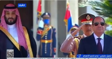 جميل عفيفى: زيارة الرئيس السيسى إلى السعودية تؤكد وحدة الموقف العربى