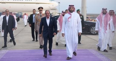 الرئيس السيسي وولى العهد السعودى