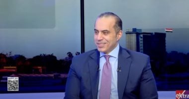 المستشار محمود فوزي