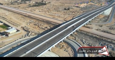 وزارة النقل تنفذ 71 كوبرى بمسار الخط الأول للقطار الكهربائى.. الانتهاء من كوبرى خور مايو العملاق بارتفاع 90 مترا.. وصول أول قطار فيلارو سريع إلى مصر خلال شهر.. وكامل الوزير: عمال مصر ينفذون ملحمة عظيمة.. صور وزارة النقل تنفذ 71 كوبرى بمسار الخط الأول للقطار الكهربائى