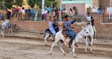 فرحة المولد النبوى بدأت بمنشأة العمارى بالأقصر.. متع عينيك بسباقات الخيول.. فيديو