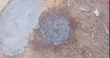 الأهالى يودعون والد الشناوى برى الأشجار حول قبره.. ادعوله بالرحمة