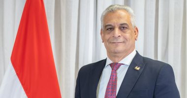 المهندس محمد صلاح الدين مصطفى وزير الدولة للإنتاج الحربي