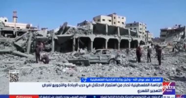 وكيل خارجية فلسطين: إسرائيل "مجرمة" ومستمرة فى إبادة الفلسطينيين