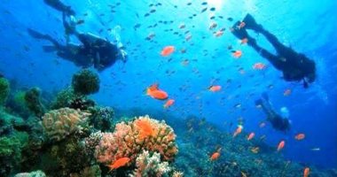 جنة تحت الماء.. إقبال أوروبى على رحلات السفارى لزيارة الجزر البحرية ومواقع الغوص بالبحر الأحمر