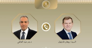 وزيرا خارجية مصر وألمانيا 
