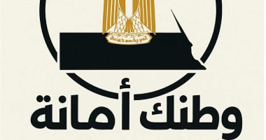 مبادرة "وطنك أمانة": المصريون احتشدوا أمام السفارات وأثبتوا للعالم أنهم صف واحد