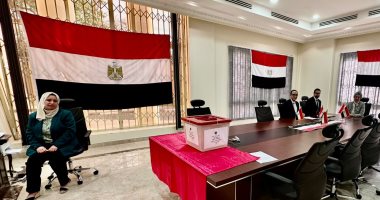 استمرار فتح لجان الاقتراع أبوابها للمصريين بالخارج