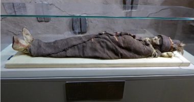 حل لغز مومياوات تاريم المدفونة من 4000 عام فى قوارب بصحراء الصين