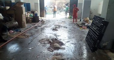 8 حالات اختناق جراء حريق مصنع دمياط.. صور حريق مصنع بدمياط