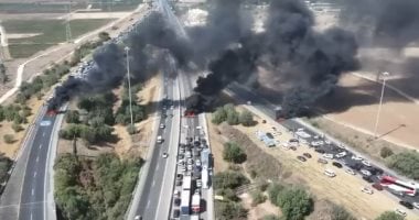 نيوز برو : 
                                            إسرائيليون يغلقون الطرق السريعة فى تل أبيب للمطالبة بإنهاء الحرب على غزة
                                        