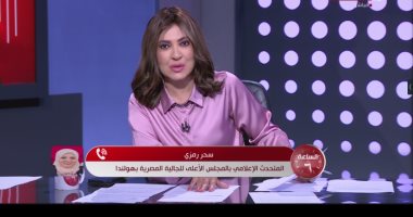المجلس الأعلى للجالية المصرية بهولندا: مصر حملت القضية الفلسطينية على أكتافها لسنوات