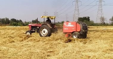 جهاز البيئة بالشرقية يستقبل طلبات فتح مواقع تجميع قش الأرز