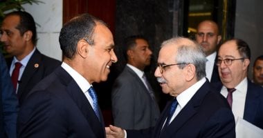 وزير الخارجية يدعو المجتمع الدولى لدعم جهود إعادة إعمار لبنان بدر عبد العاطى ونواف سلام