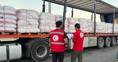 الهلال الأحمر المصري يوفر 1500 طن مساعدات إغاثية ضمن«زاد العزة»لأهالى غزة