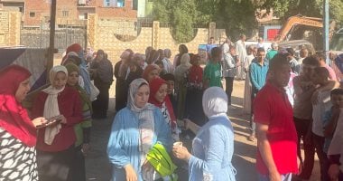 السيدات يتصدرن المشهد فى انتخابات الإعادة لمجلس الشيوخ ببنى سويف.. مباشر