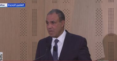 وزير الخارجية: مصر حريصة على تهيئة البيئة الجاذبة للاستثمارات القطرية